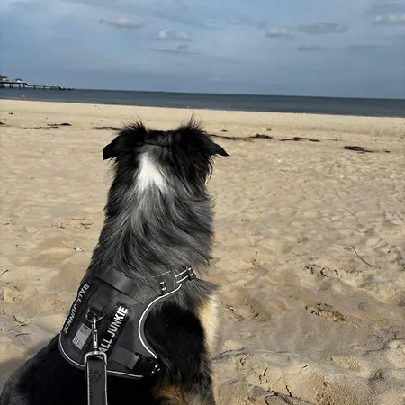 Mila 70qm Bis 5 Gaeste Mit Fass-sauna, Whirlpool April Bis Oktober, 75qm Terrasse Und Eingezaeunten Garten Haustiere Willkommen *