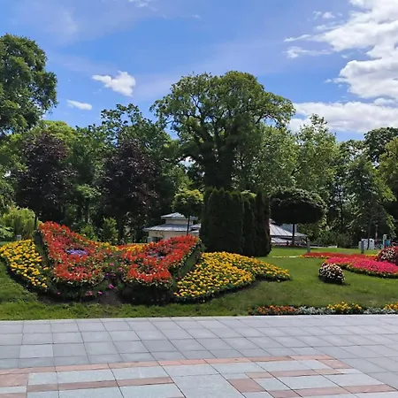 Σπίτι διακοπών Mila 70qm Bis 5 Gaeste Mit Fass-sauna, Whirlpool April Bis Oktober, 75qm Terrasse Und Eingezaeunten Garten Haustiere Willkommen