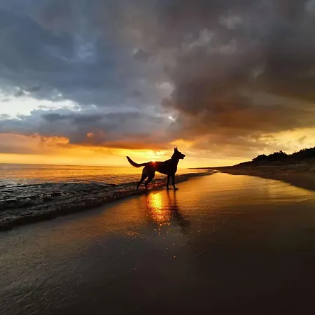 Mila 70qm Bis 5 Gaeste Mit Fass-sauna, Whirlpool April Bis Oktober, 75qm Terrasse Und Eingezaeunten Garten Haustiere Willkommen Σπίτι διακοπών *