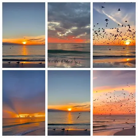 Mila 70qm Bis 5 Gaeste Mit Fass-sauna, Whirlpool April Bis Oktober, 75qm Terrasse Und Eingezaeunten Garten Haustiere Willkommen Σπίτι διακοπών *